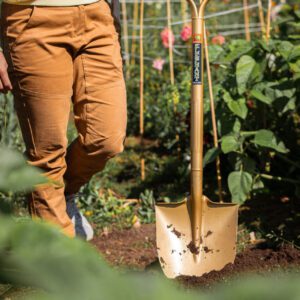 niwaki-golden-spade