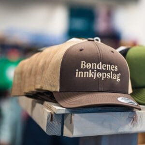 retro-trucker-cap-logo