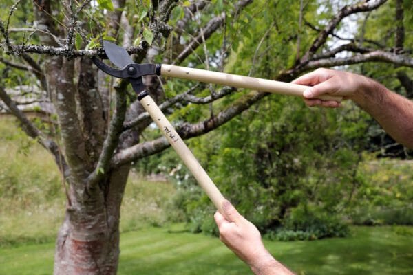 NIWAKI LOPPERS BESKJÆRINGSSAKS - Bilde 2