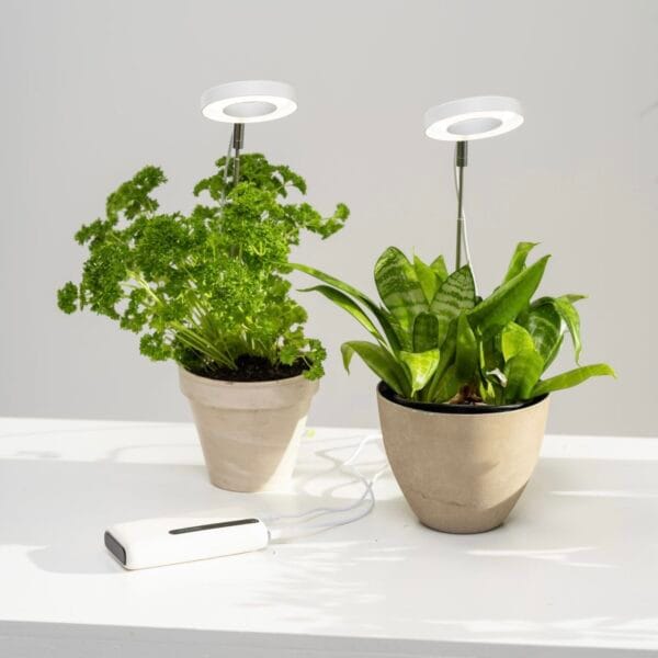 Plantelys til potter led - Bilde 2