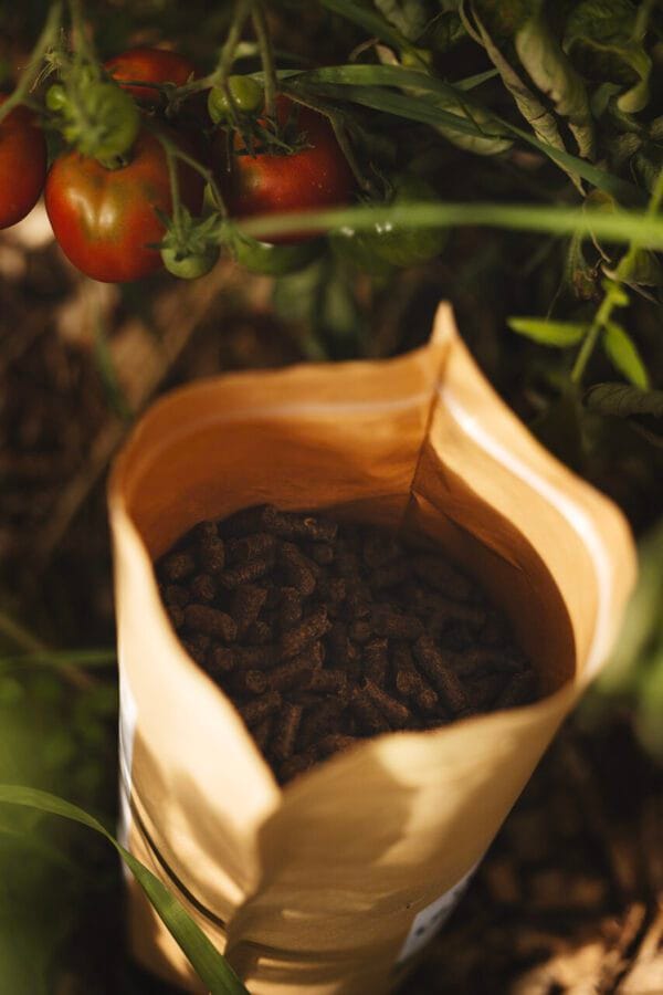 Woolero Ullpellets - Bilde 3