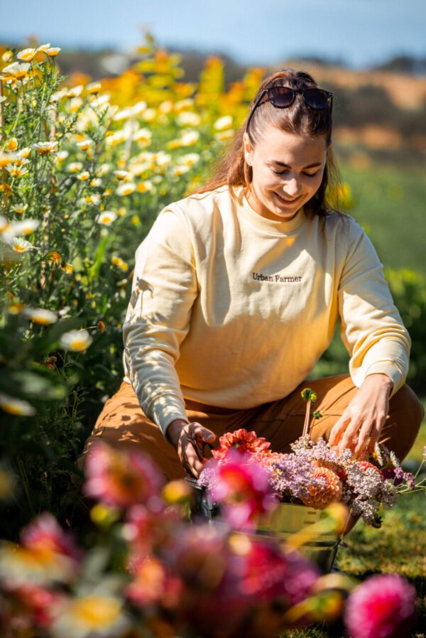 "Urban farmer" genser (unisex)
