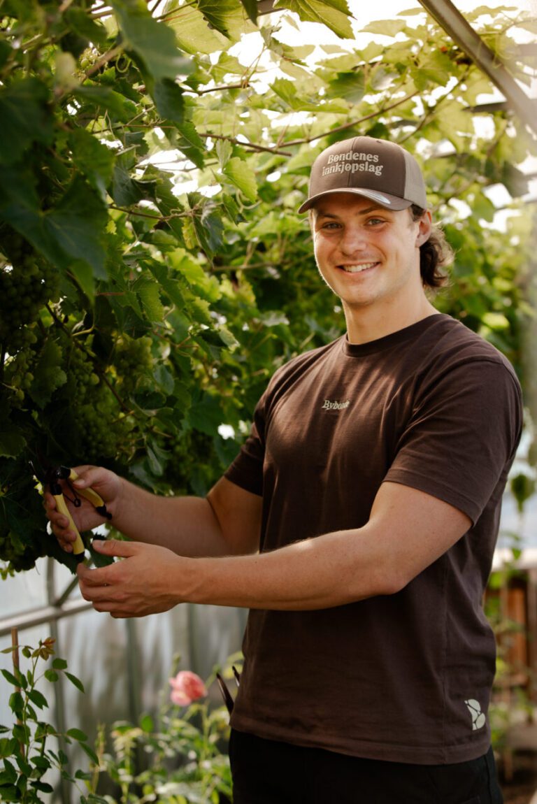 Bondenes Innkjopslag 09 - Bøndenes Innkjøpslag