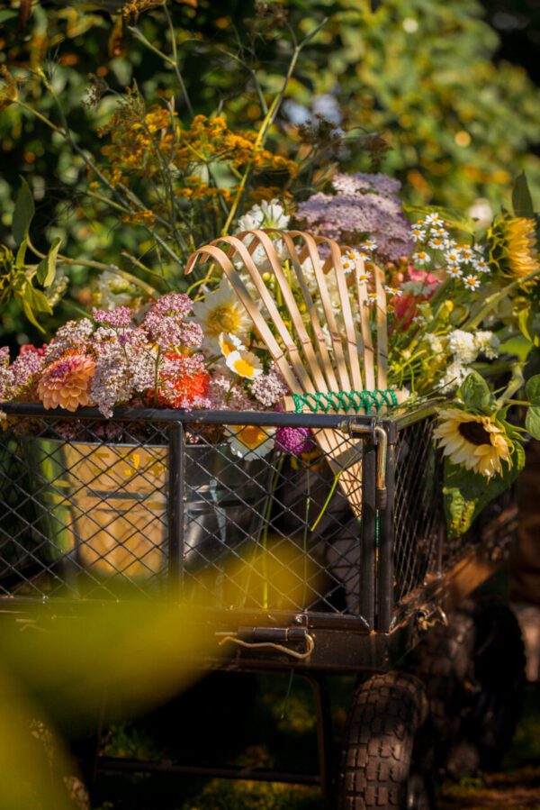 Niwaki Bamboo hand rake