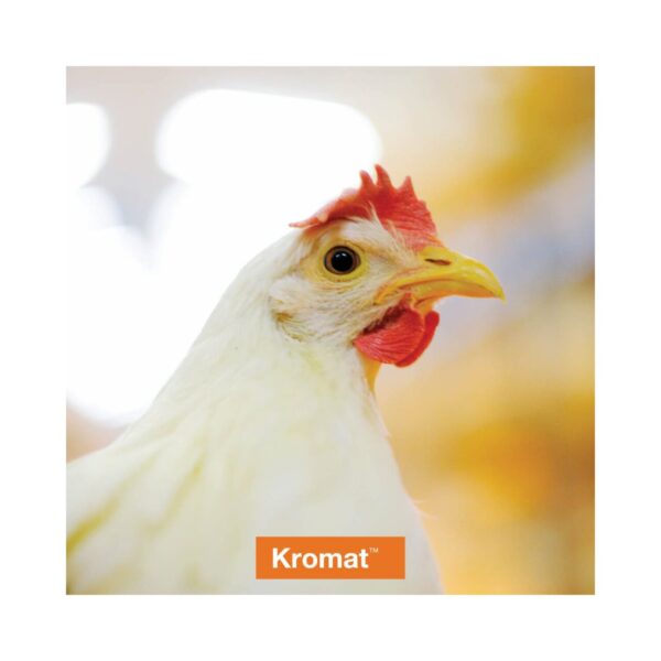 Kromat Verp 2 (25kg)