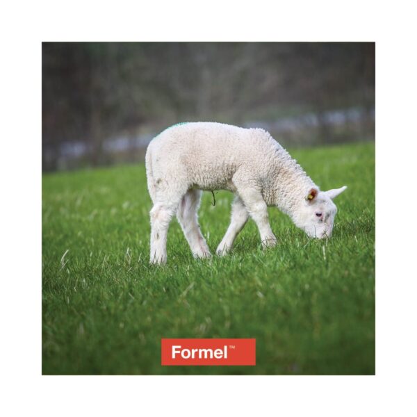 Formel Lam Vekst (800kg)